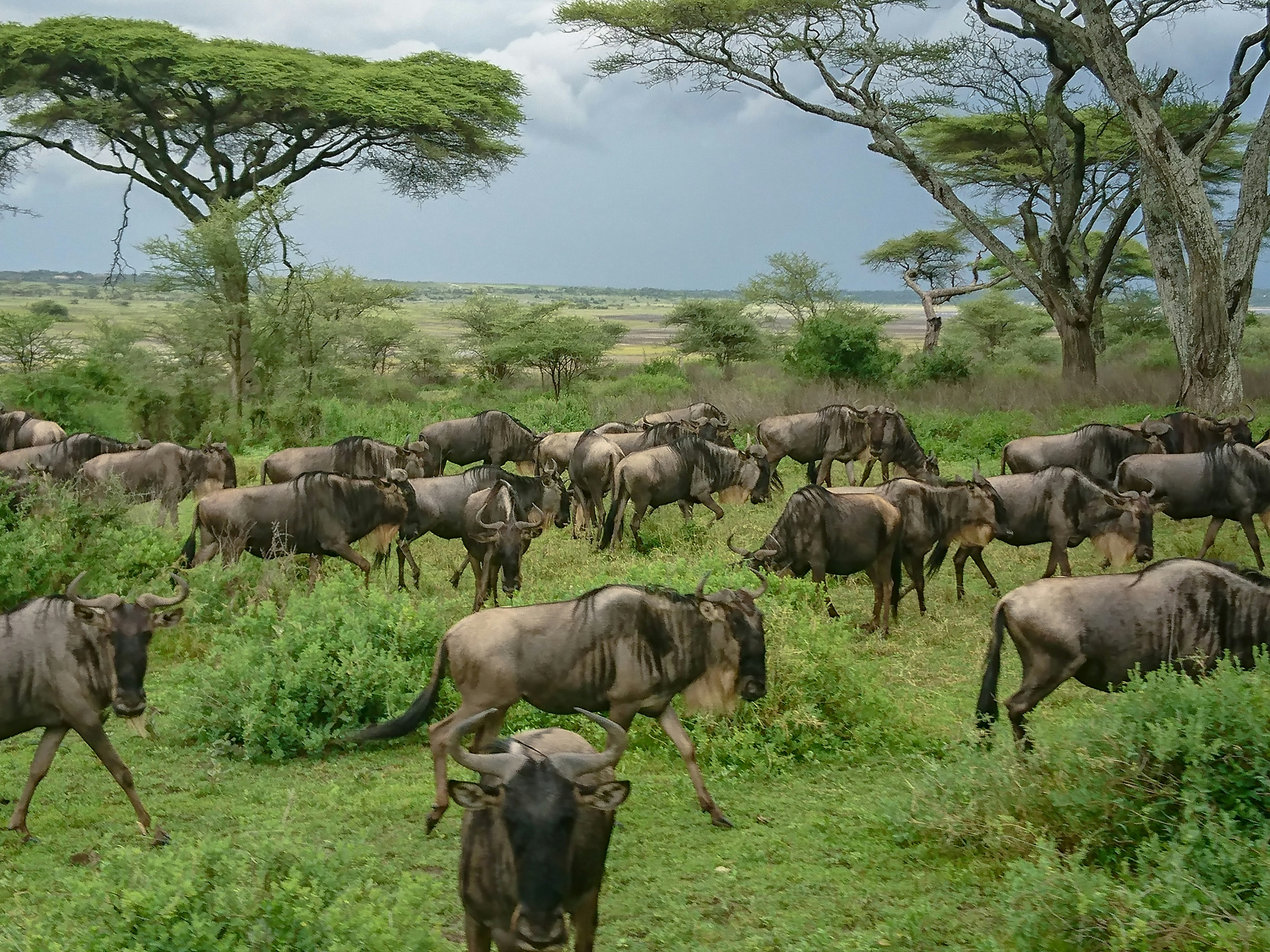 Rwanda highlands