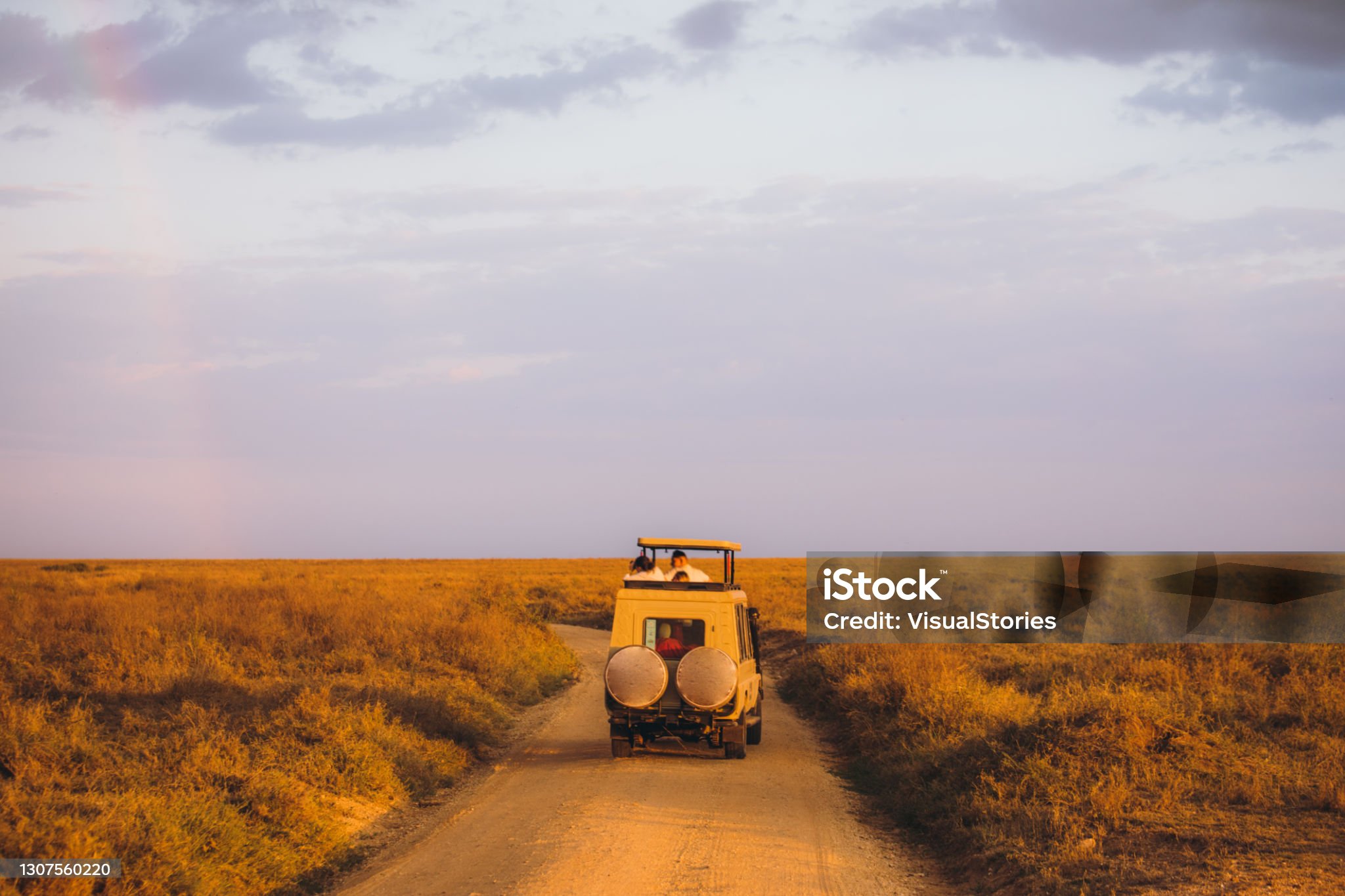Elephant herds at Ruaha
